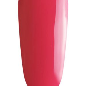 The GelBottle gelpolish – Wildberry