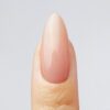 HEMA-FREE BIAB Fleur